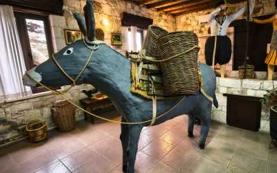 Wycieczka Szlakiem Cypryjskich Winnic - Sterna Winiarnia